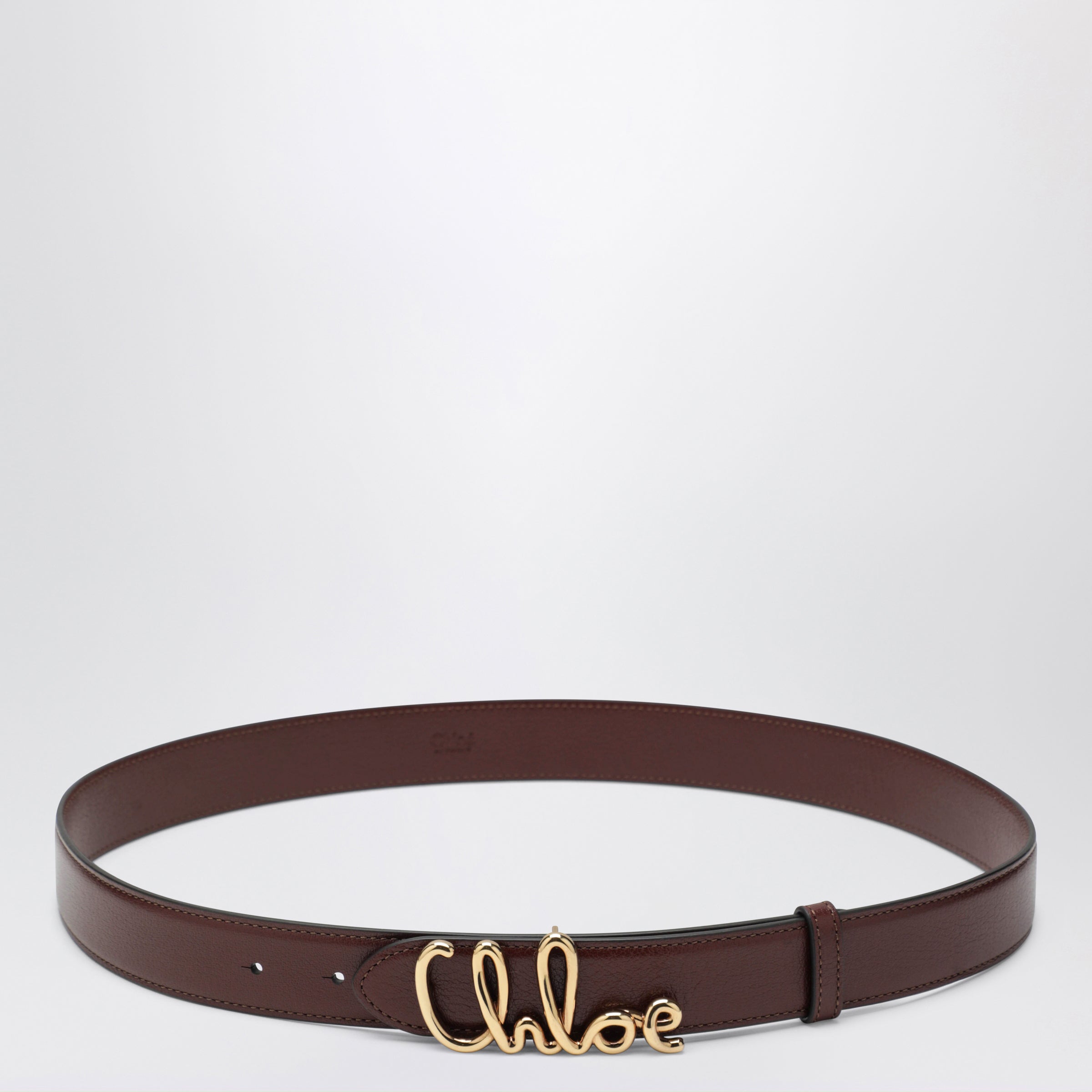Chloé Brown The Chloé Iconic Belt | TheDoubleF