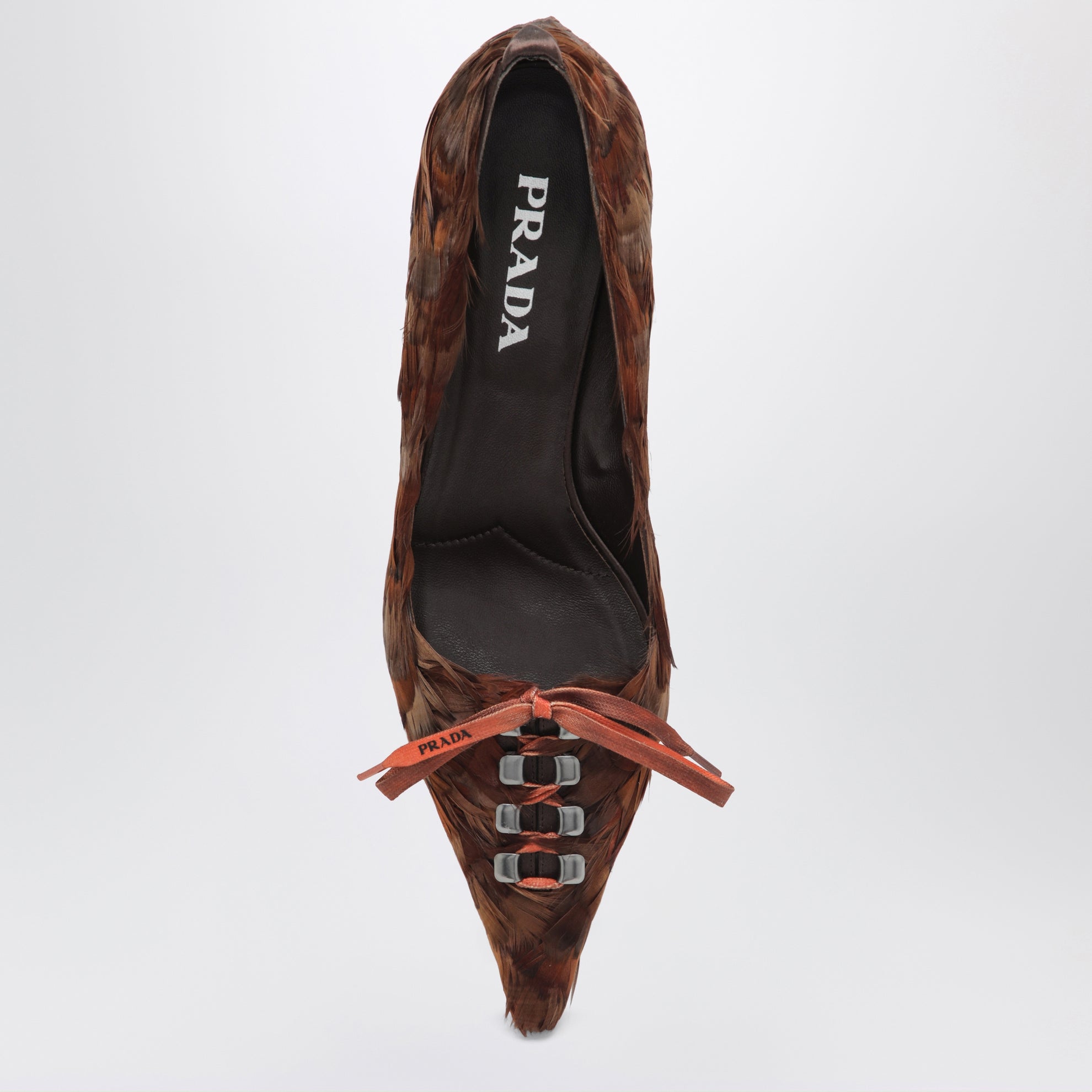 Coffee satin pumps decorated with feathers