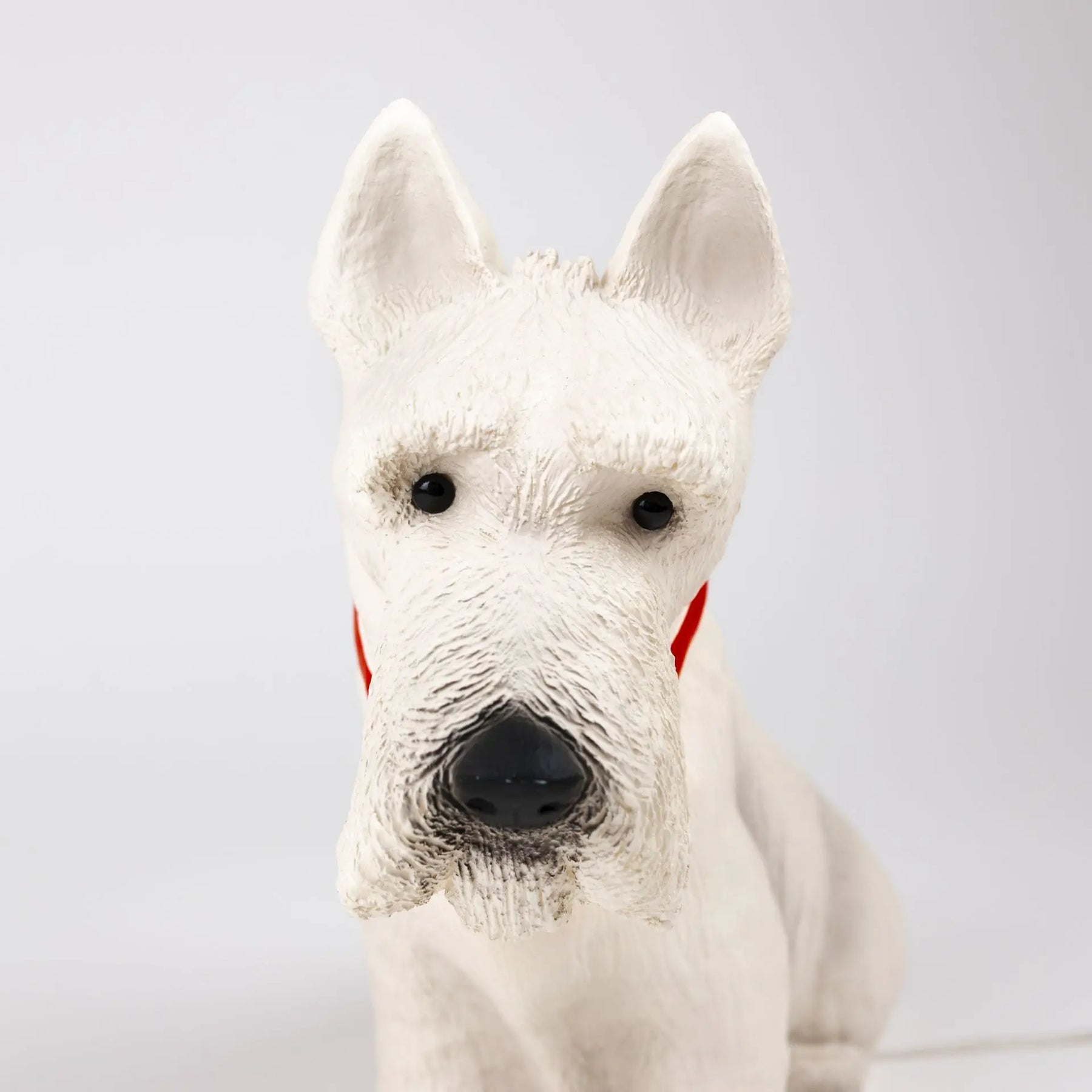 Lampada notturna Scotty il Cane