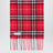 Red Check cashmere scarf