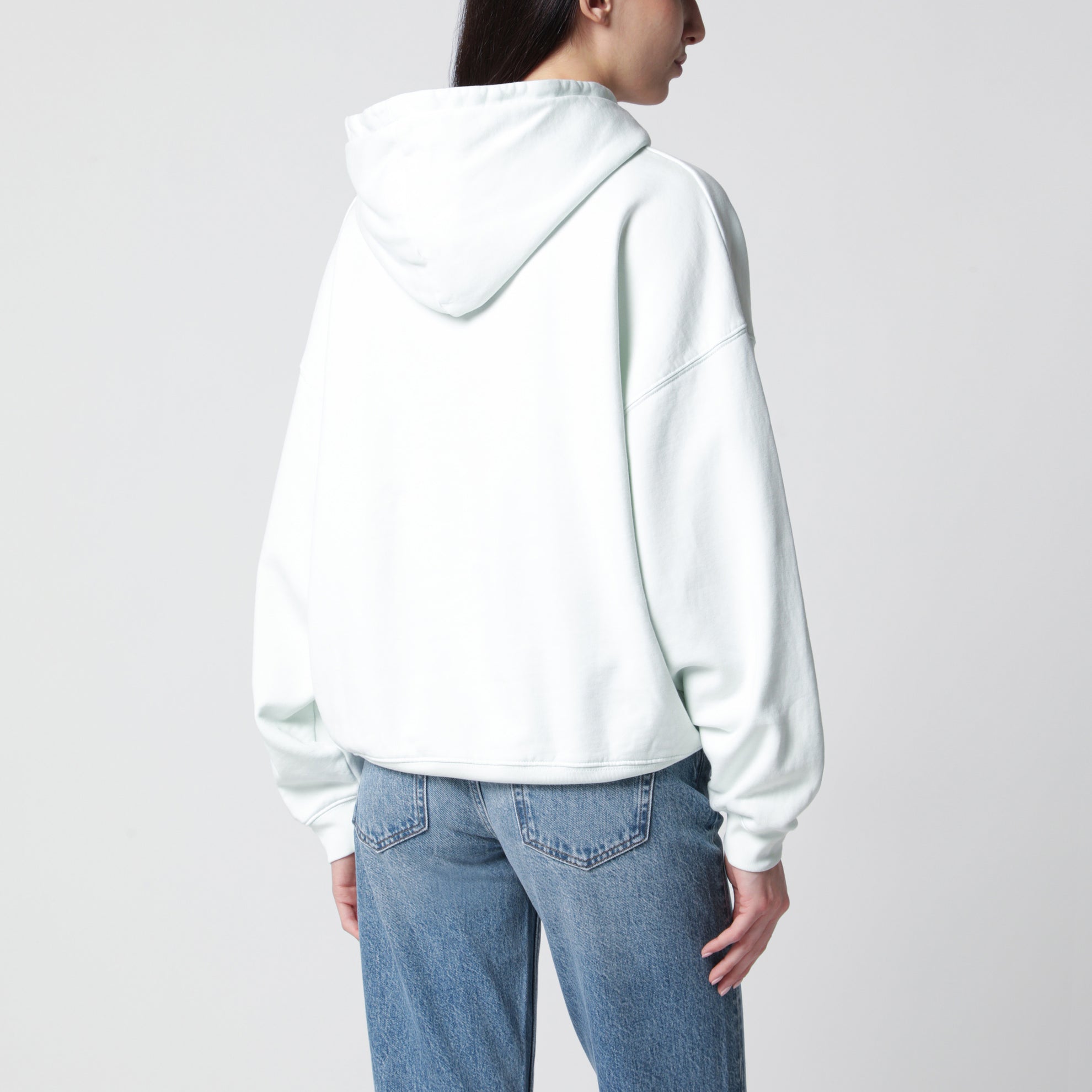 Harvey Kapuzenpullover in Mintgrün