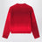 Berry wool blend crew neck sweater