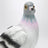 Pochette Pigeon en résine en forme de pigeon