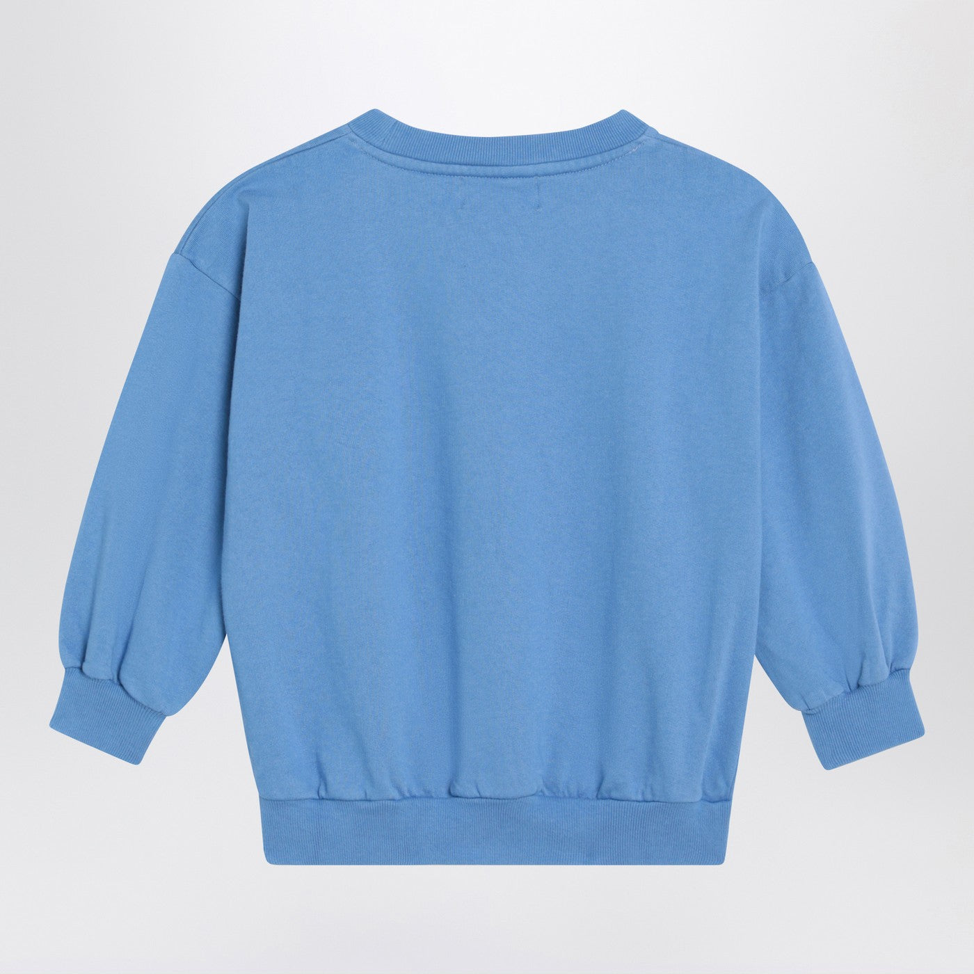 Light blue sweatshirt with logo print