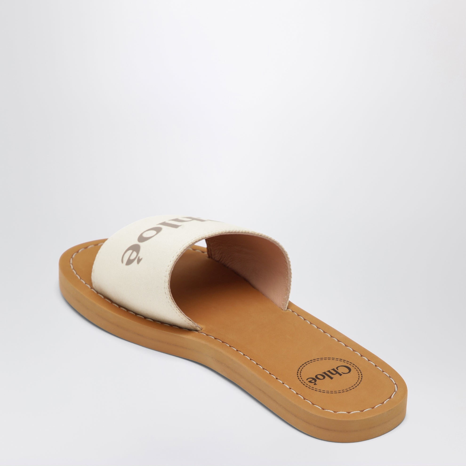 Slide bianche con logo
