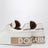 White/gold Portofino sneakers