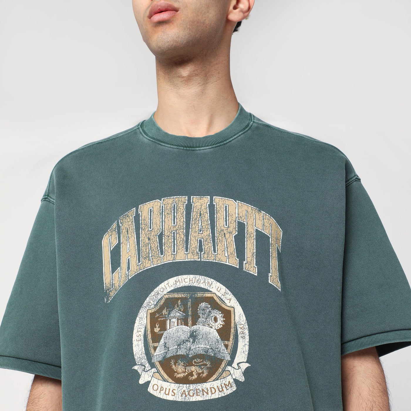 Library Sweatshirt color verde Conifer