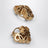 Anagram Bombé gold brass hoop earrings