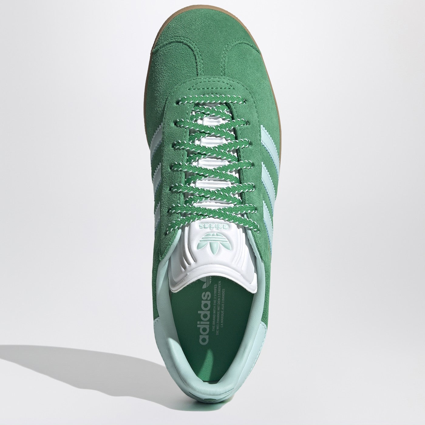Gazelle Indoor green/light blue sneakers