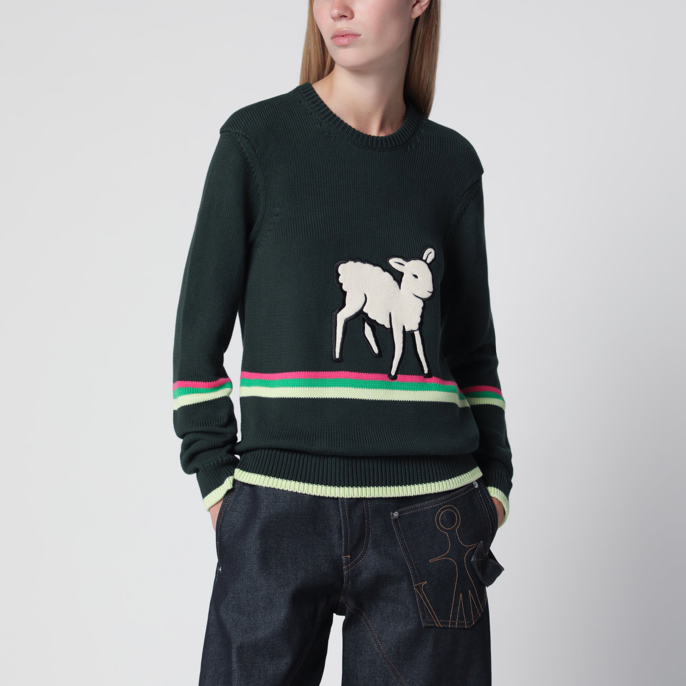 JW ANDERSON 22aw スワンインターシャニット ニットセーター XL JW Anderson Dark green cotton sweater with sheep embroidery