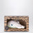 Walter whale bath toy