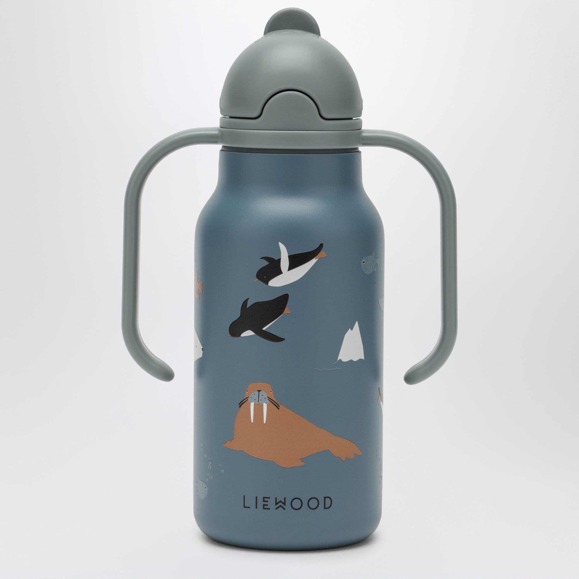 Arctic Sea/Ocean View steel thermal bottle
