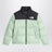 Moss green 1996 Retro Nuptse down jacket
