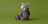 Jellycat | Histoires de douceur